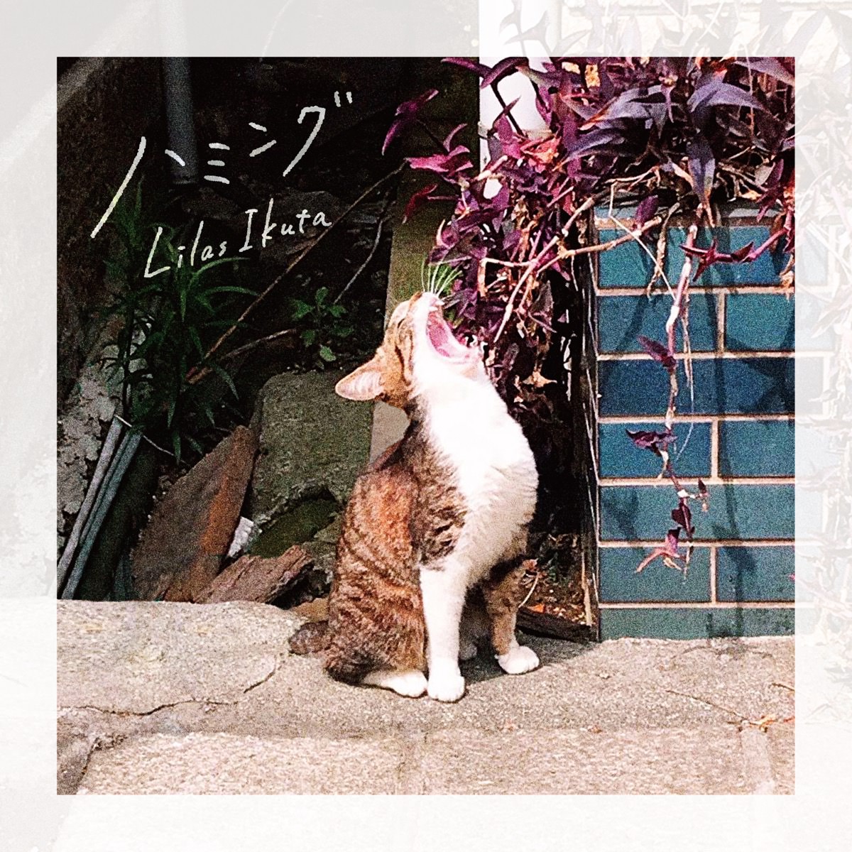 Discography / 幾田りら オフィシャルサイト