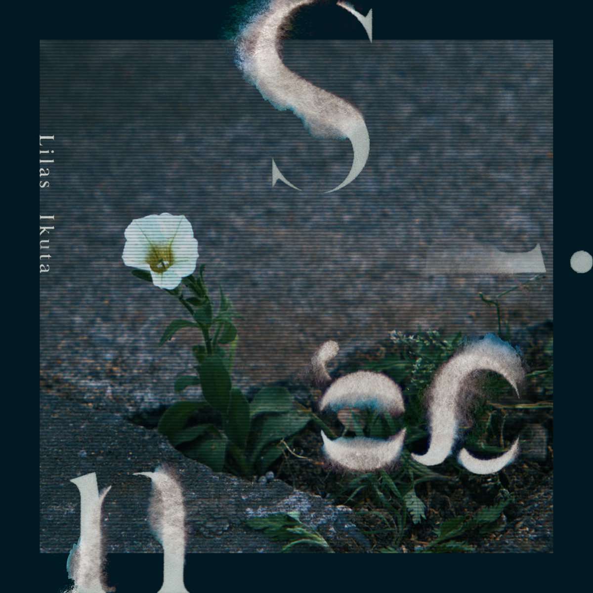 Discography / 幾田りら オフィシャルサイト